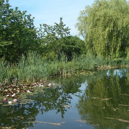 Couette-café Ferme De La Canardière 4*