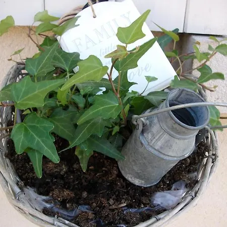 Ferme De La Canardière Couette-café 4*