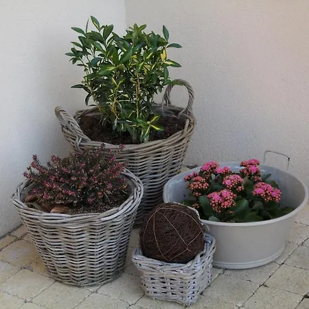 Ferme De La Canardière Couette-café Chantilly