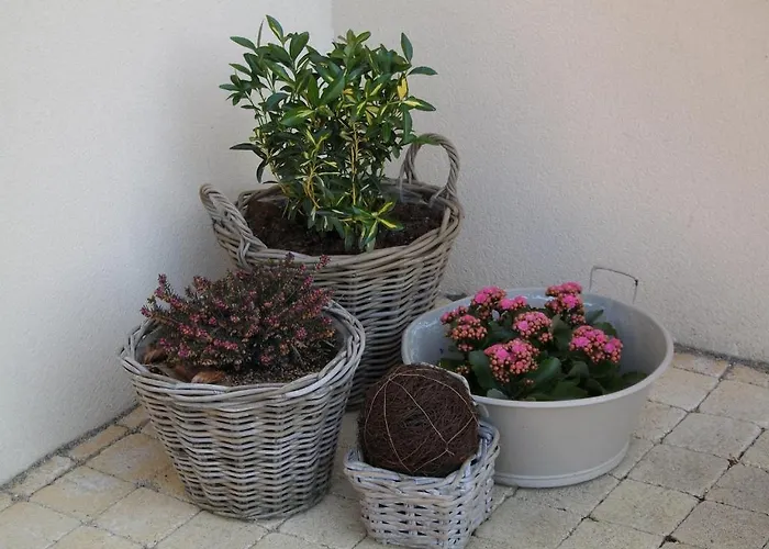 Ferme De La Canardiere Bed & Breakfast Chantilly